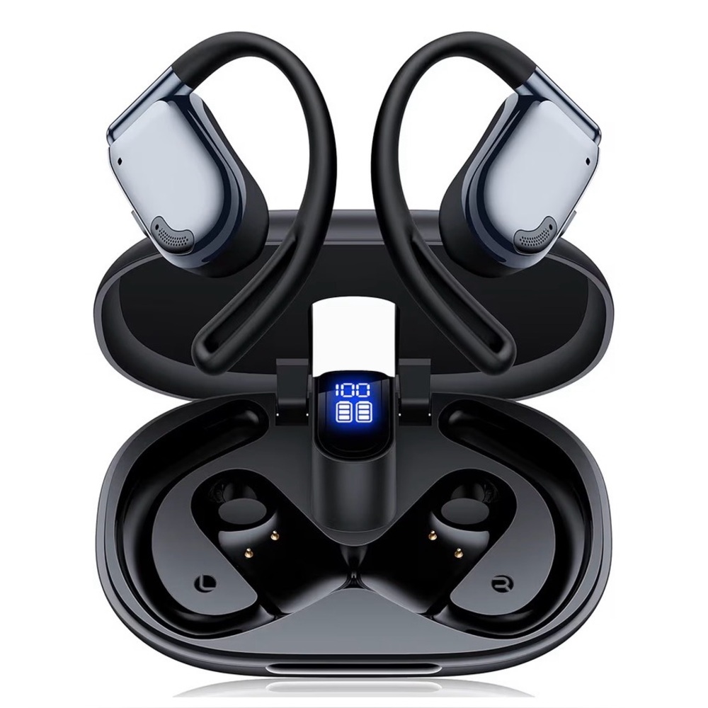 Translation Earbuds NWT